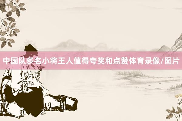 中国队多名小将王人值得夸奖和点赞体育录像/图片