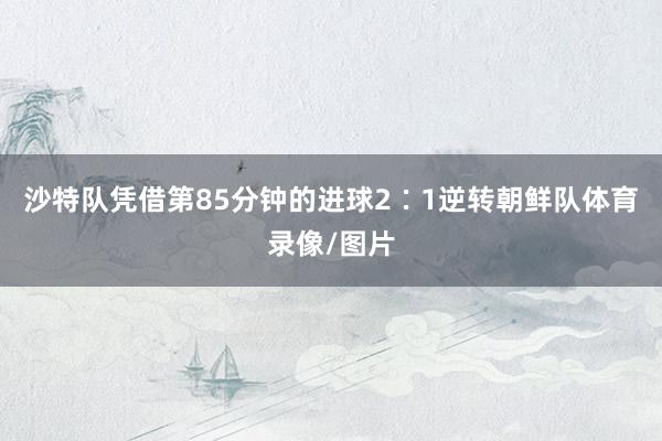 沙特队凭借第85分钟的进球2∶1逆转朝鲜队体育录像/图片