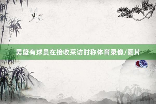 男篮有球员在接收采访时称体育录像/图片