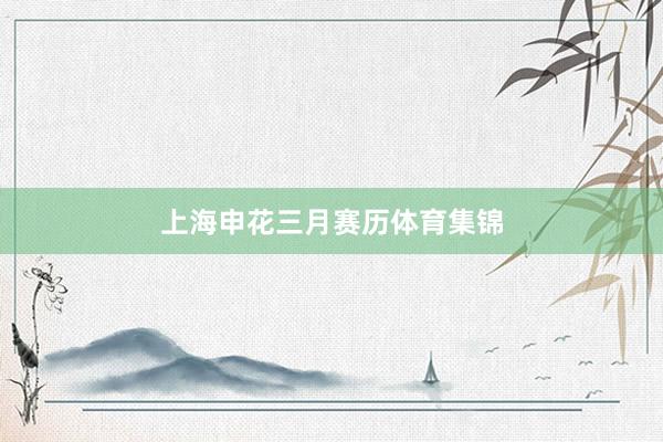 上海申花三月赛历体育集锦