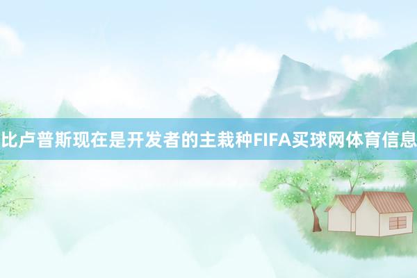 比卢普斯现在是开发者的主栽种FIFA买球网体育信息