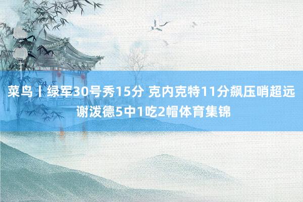 菜鸟丨绿军30号秀15分 克内克特11分飙压哨超远 谢泼德5中1吃2帽体育集锦